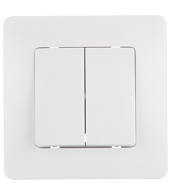 ���� ����������� Systeme Electric Blanca ������������� ������������ ����� (BLNVS010501)   ������ ������