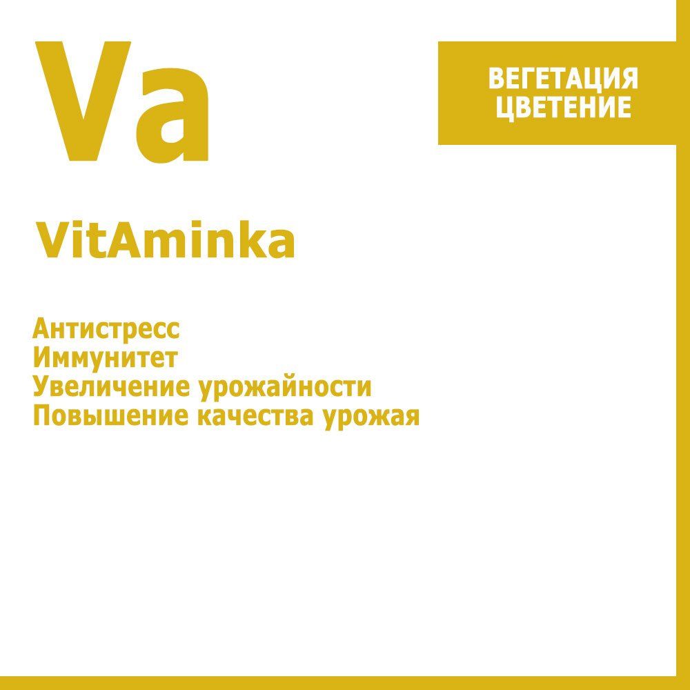  VitAminka, -  10     -     , -, 