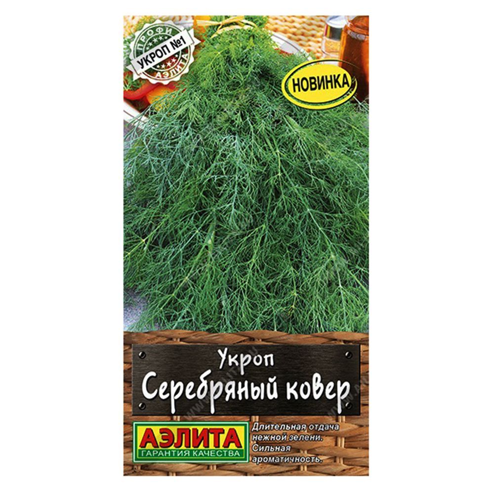 ���� ����� ���������� ����� ������   ������ ������