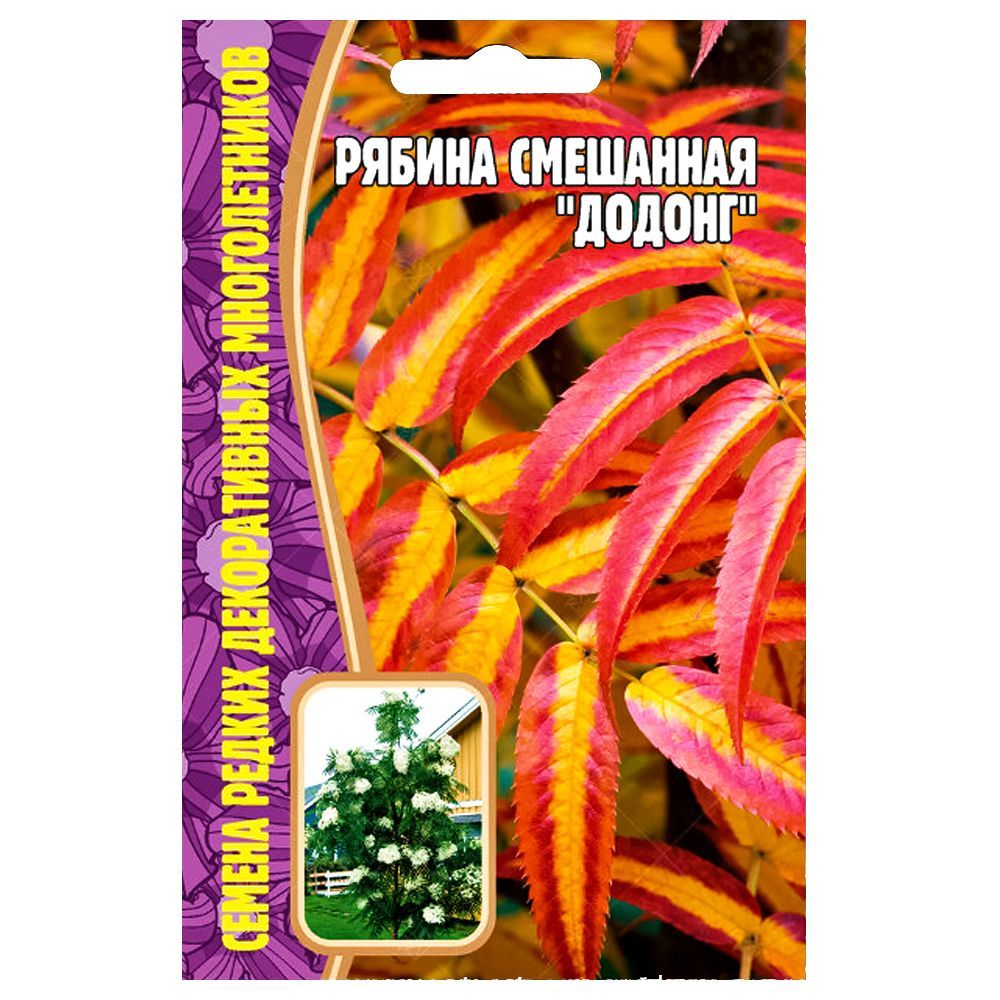 ���� ������ ��������� ������ ������ ������   ������ ������