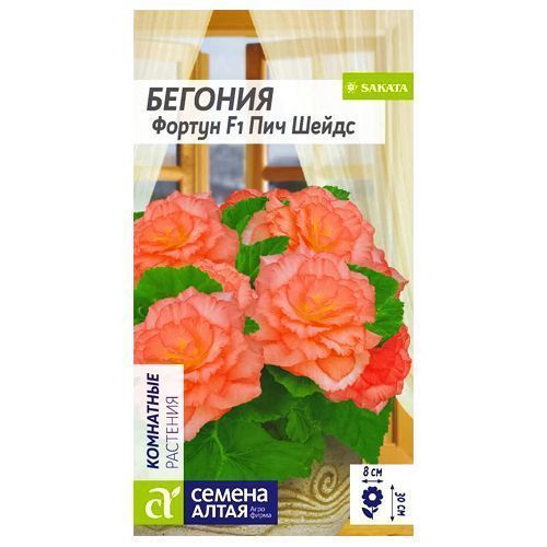 ���� ������� ��������� ������ ��� ����� ������ �����   ������ ������