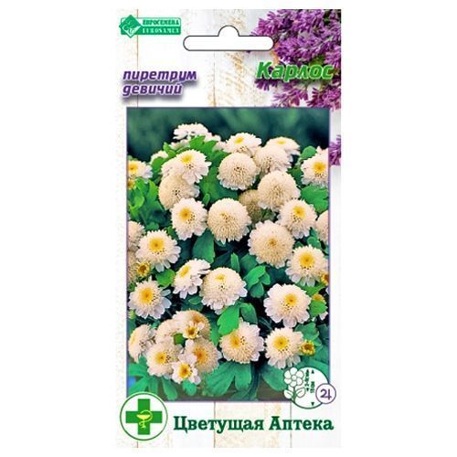 ���� �������� ������� ������ ����������   ������ ������