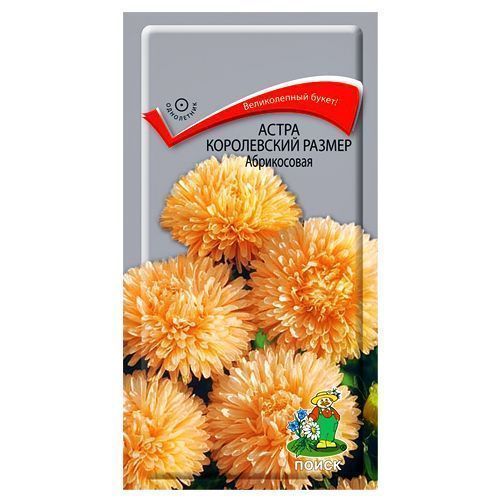 ���� ����� ����������� ������ ����������� �����   ������ ������