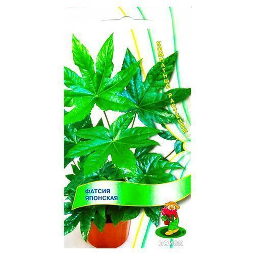 ���� ������ �������� �����   ������ ������