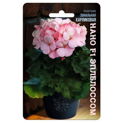 ���� ���������� (������) ��������� ���������� ���� F1 ���������� ����������   ������ ������