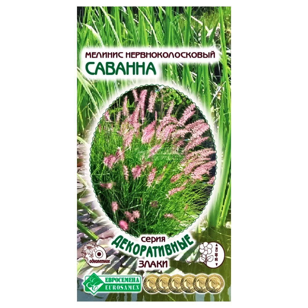 ���� ������� ������� ����������   ������ ������