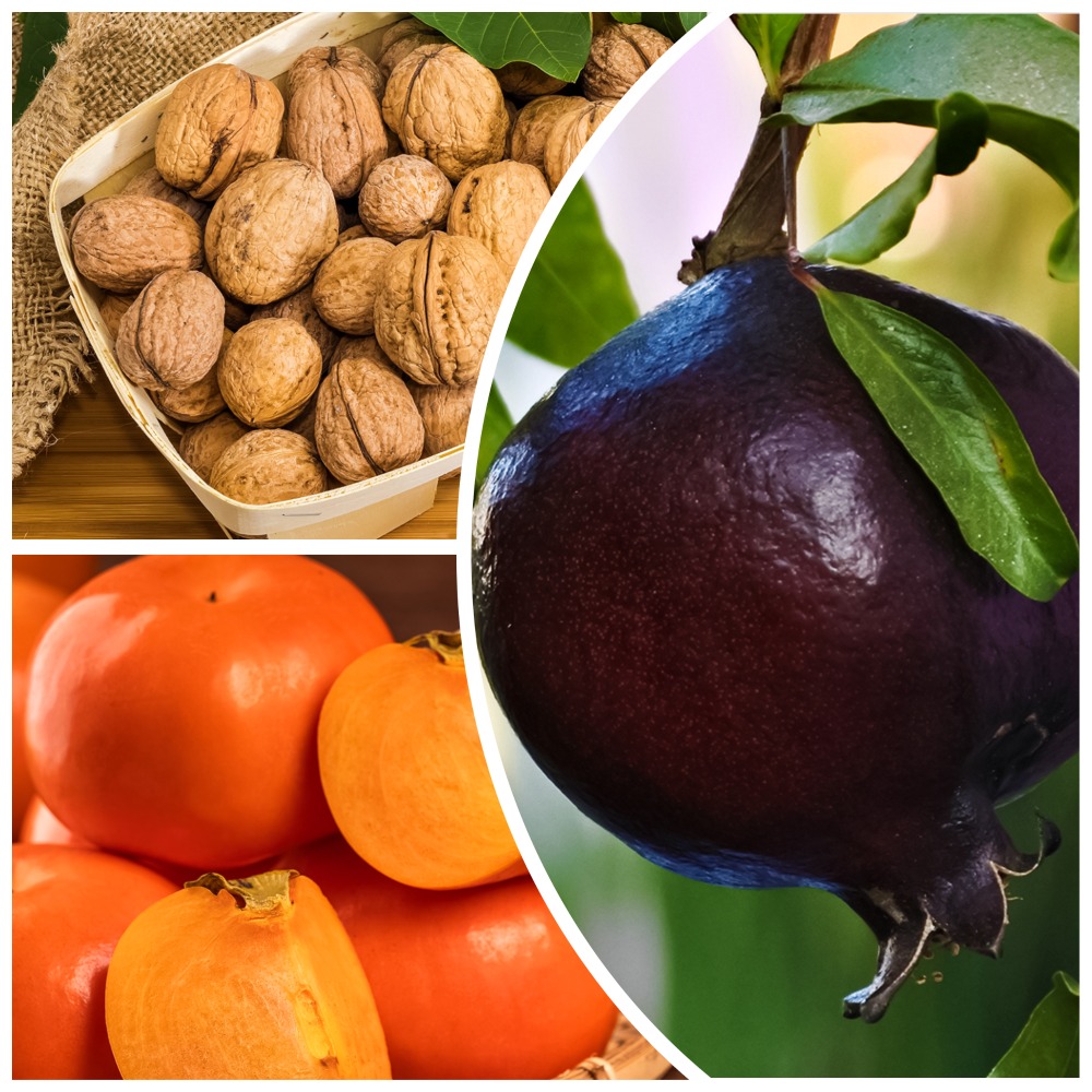 ���� �����������! �������� ��������� ���������� �������� 