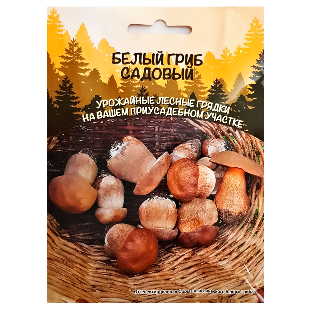 ���� ����� ���� ������� ��������� ������   ������ ������