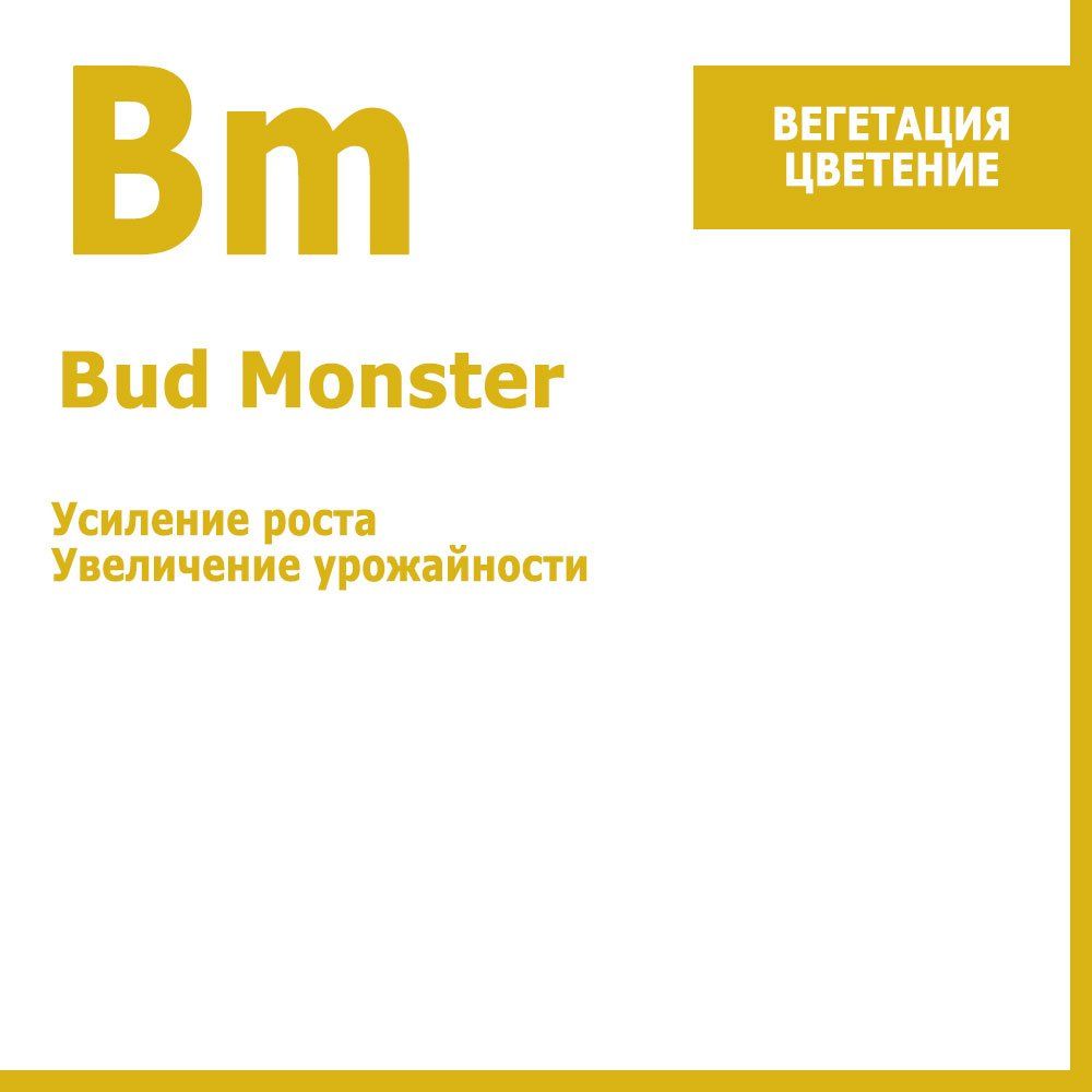  Bud Monster,     250     -     , -, 