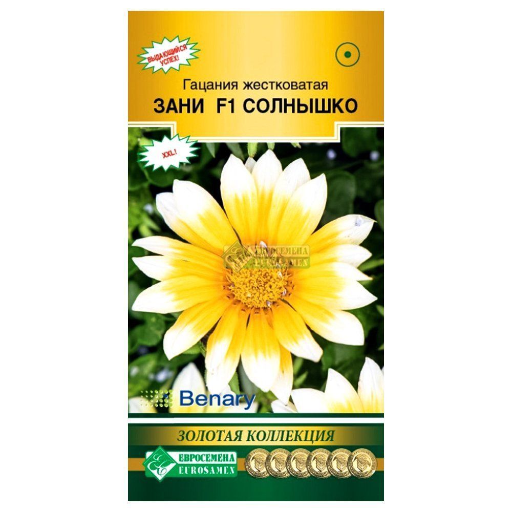 ���� ������� ���� �������� F1 ����������   ������ ������