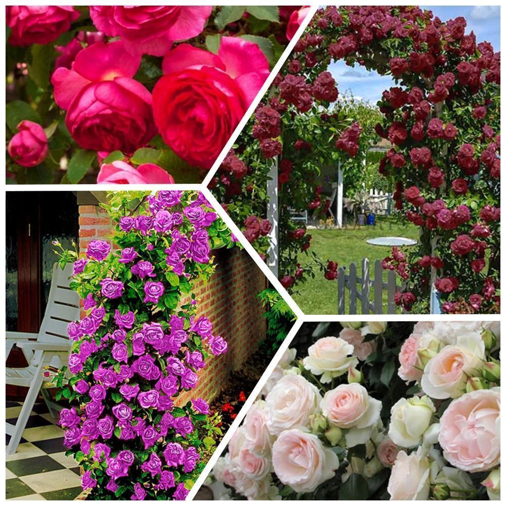 ���� �����������! �������� ��������� ��� 