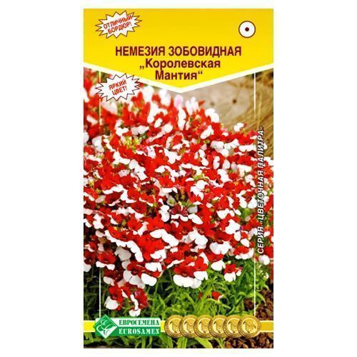 ���� ������� ����������� ������ ����������   ������ ������