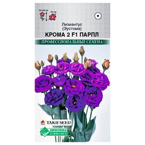 ���� ��������� (�������) 2 ����� ����� F1 ����������   ������ ������