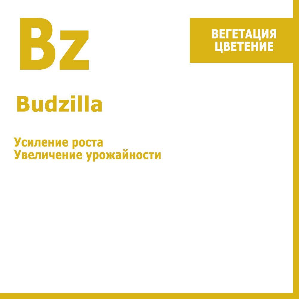  Budzilla,    250     -     , -, 