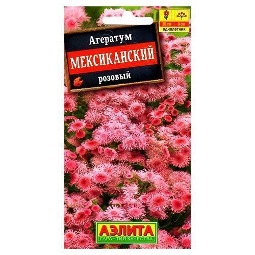 ���� �������� ������������ ������� ������   ������ ������