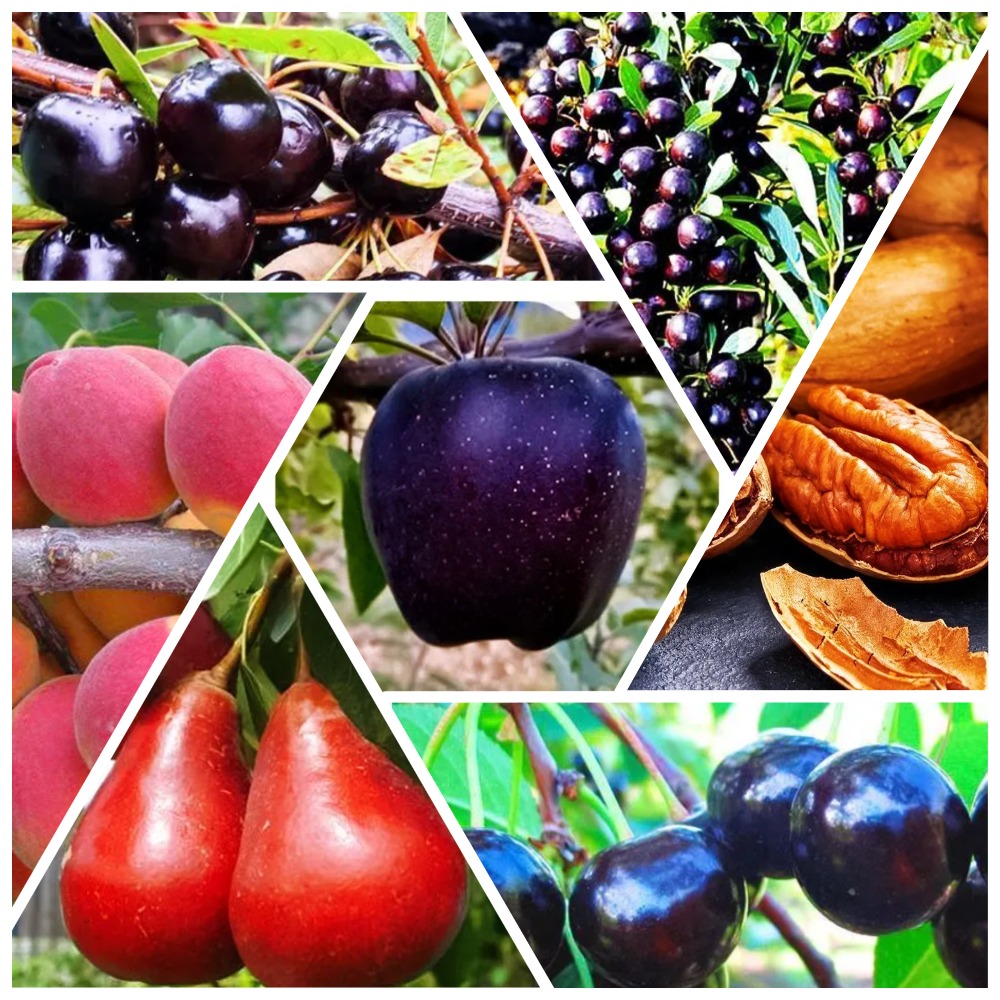 ���� �����������! �������� ������������� �������� �������� 