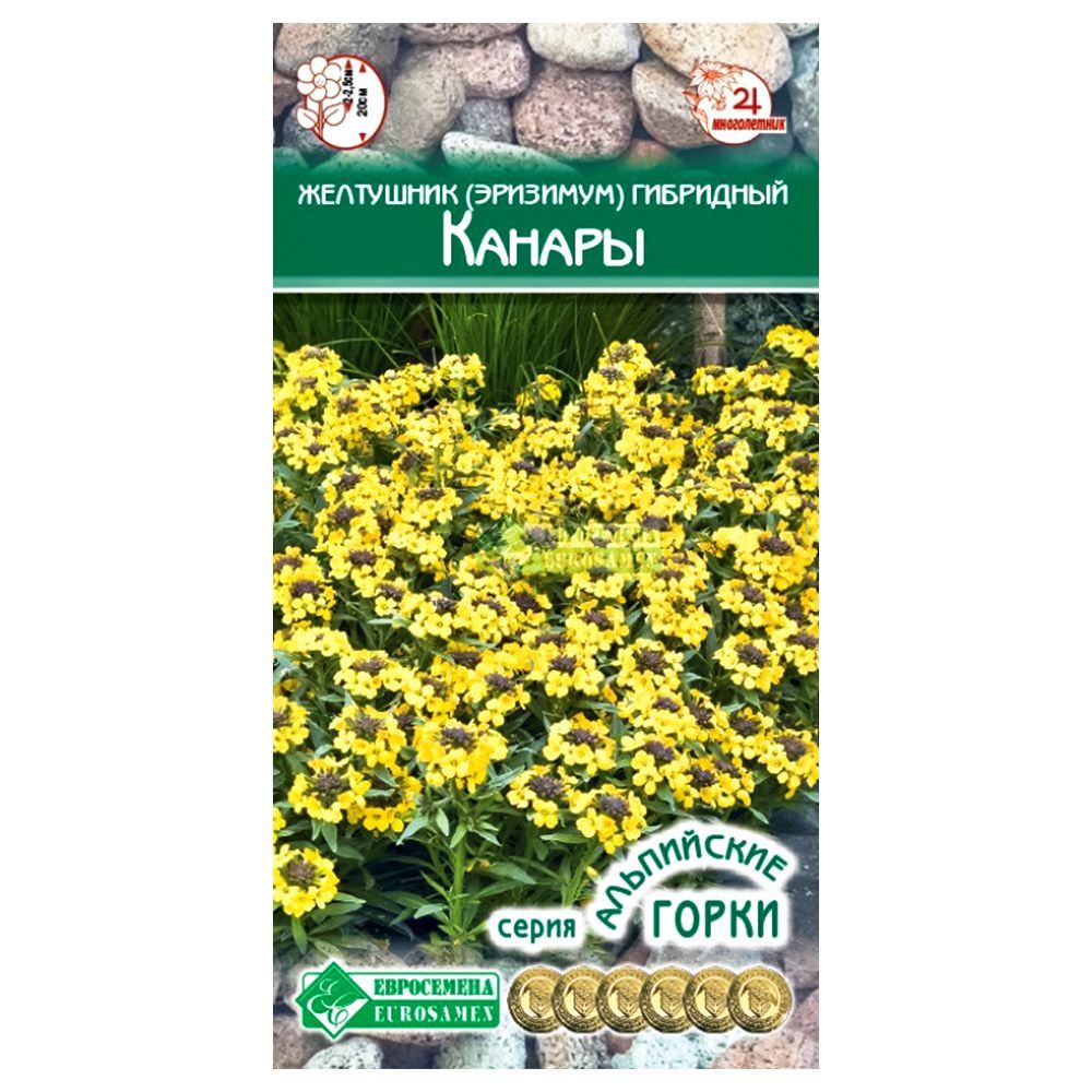 ���� ��������� (��������) ������ ����������   ������ ������