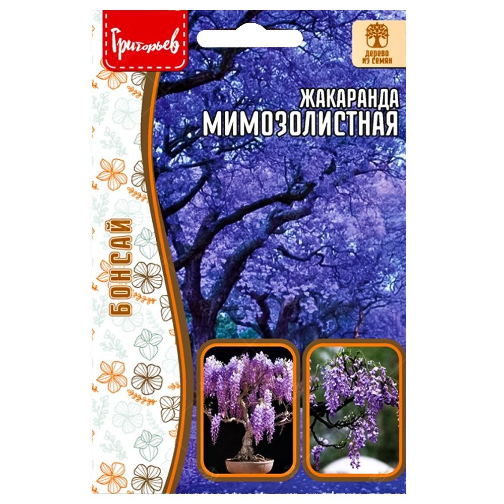 ���� ��������� ������������� ������ ������   ������ ������