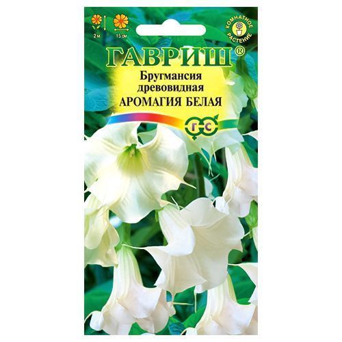 ���� ���������� �������� ����� ������   ������ ������