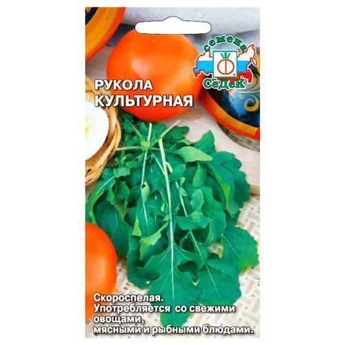 ���� ������� (�����) ���������� �����   ������ ������