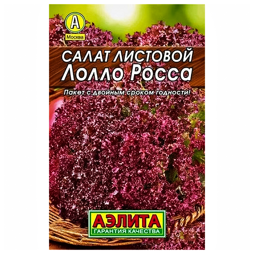 ���� ����� ����� ����� ������   ������ ������