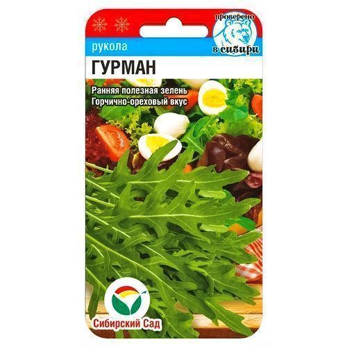 ���� ������� (�����) ������ ��������� ���   ������ ������