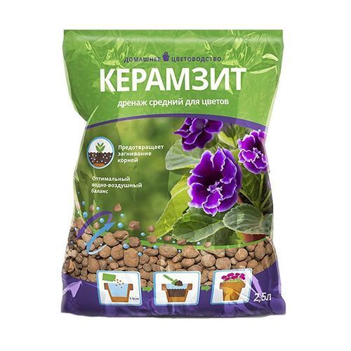 ���� Florizel �������� ������� 2,5 �   ������ ������