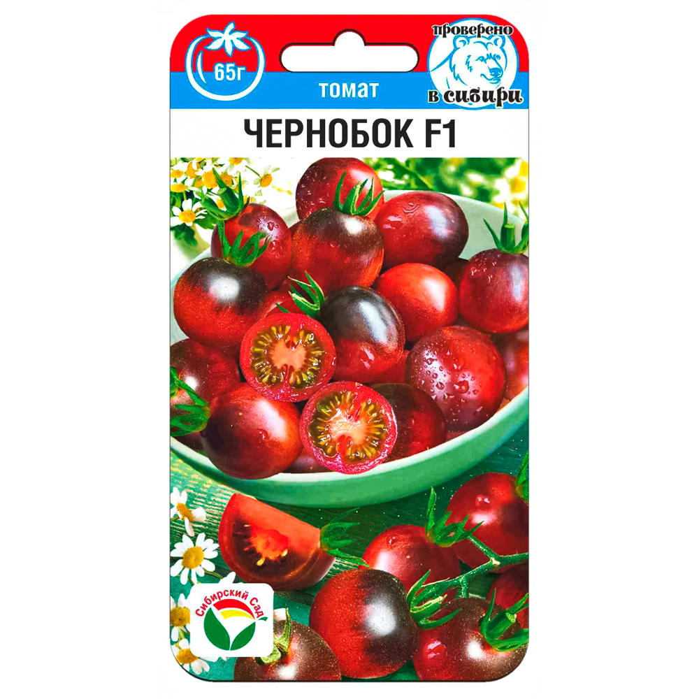 ���� ����� �������� F1 ��������� ���   ������ ������