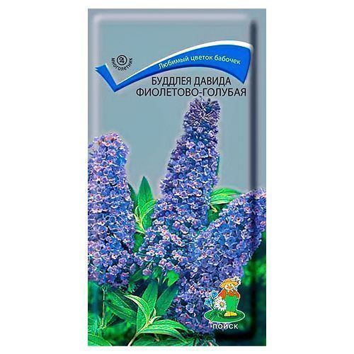 ���� ������� ������ ���������-������� �����   ������ ������