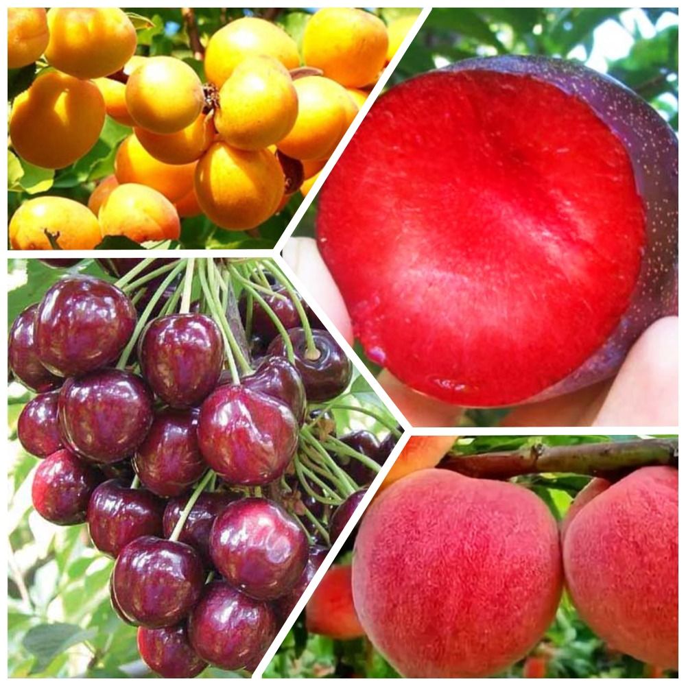 ���� �����������! �������� �������� �������� 