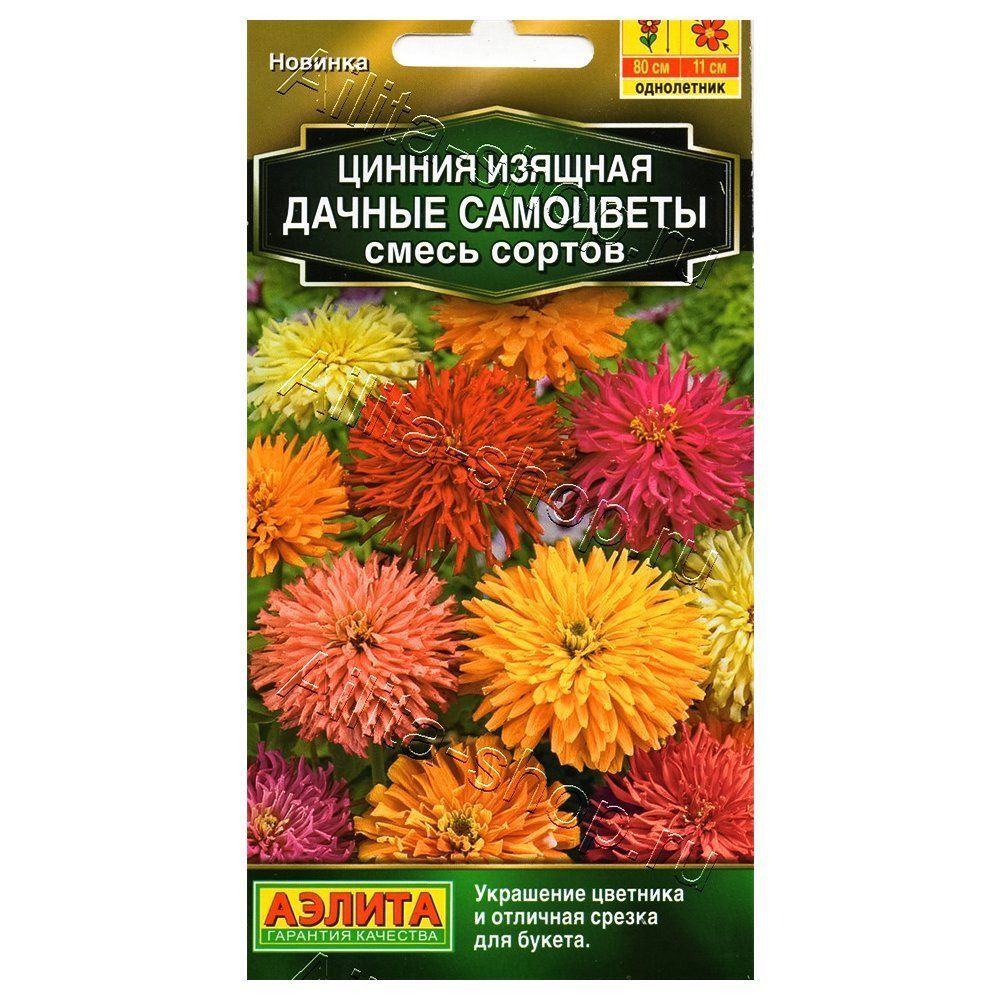 ���� ������ ������ ���������, ����� ������� ������   ������ ������