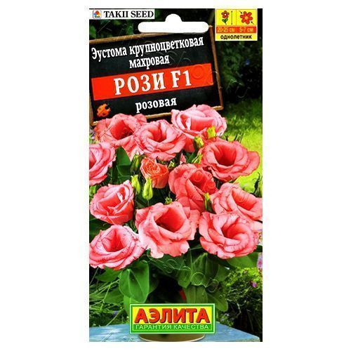 ���� ������� �������� ���� ������� F1 ������   ������ ������