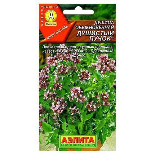 ���� ������ (�������) ������������ �������� ����� ������   ������ ������