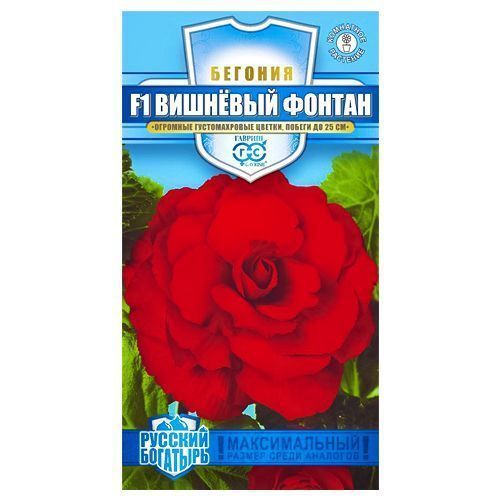 ���� ������� �������� ������ F1 ������   ������ ������