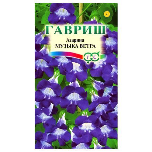 ���� ������� ������ ����� ������   ������ ������