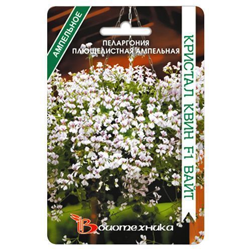 ���� ���������� (������) ������������ ��������� ������� ���� ���� F1 ����������   ������ ������