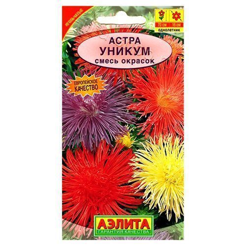 ���� ����� ���������� ������, ����� ������� ������   ������ ������