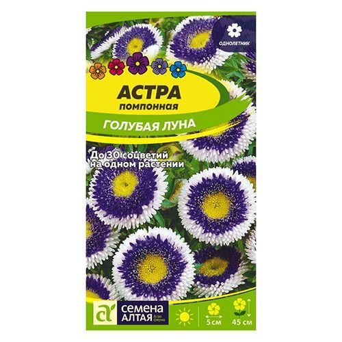 ���� ����� ��������� ������� ���� ������ �����   ������ ������