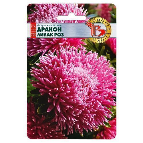 ���� ����� ��������� ������ ������ ����� ���� ����������   ������ ������