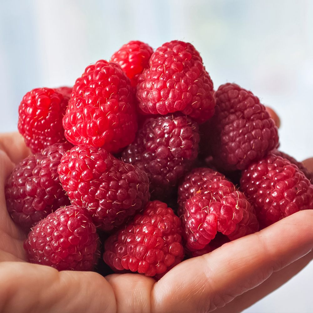 ���� ������ ������������� ��� ������ �������   ������ ������