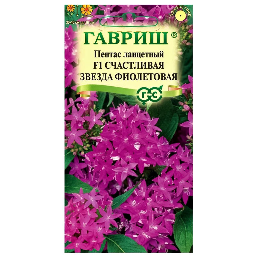 ���� ������ ��������� ���������� ������ ���������� F1 ������   ������ ������