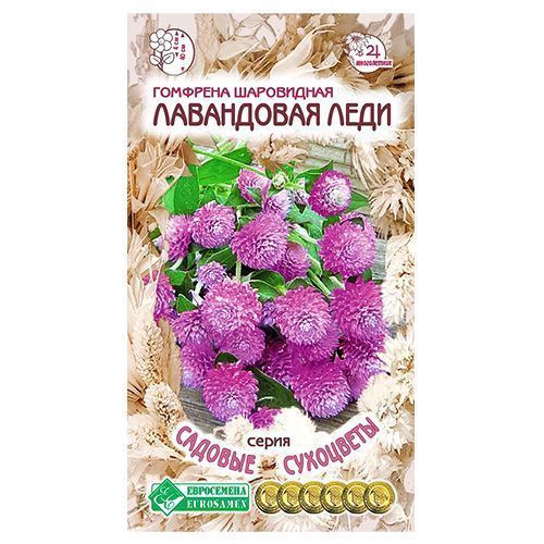 ���� �������� ���������� ���� ����������   ������ ������