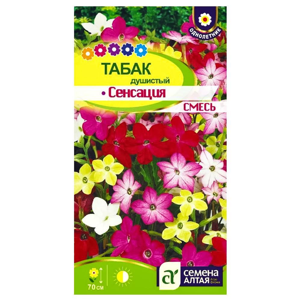 ���� ����� �������� ��������, ����� ������� ������ �����   ������ ������