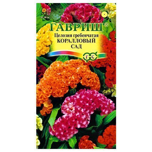 ���� ������� ����������� ���������� ���, ����� ������� ������   ������ ������