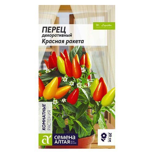 ���� ����� ������������ ������� ������ ������ �����   ������ ������