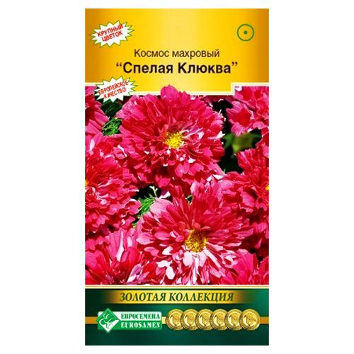 ���� ������ �������� ������ ������ ����������   ������ ������