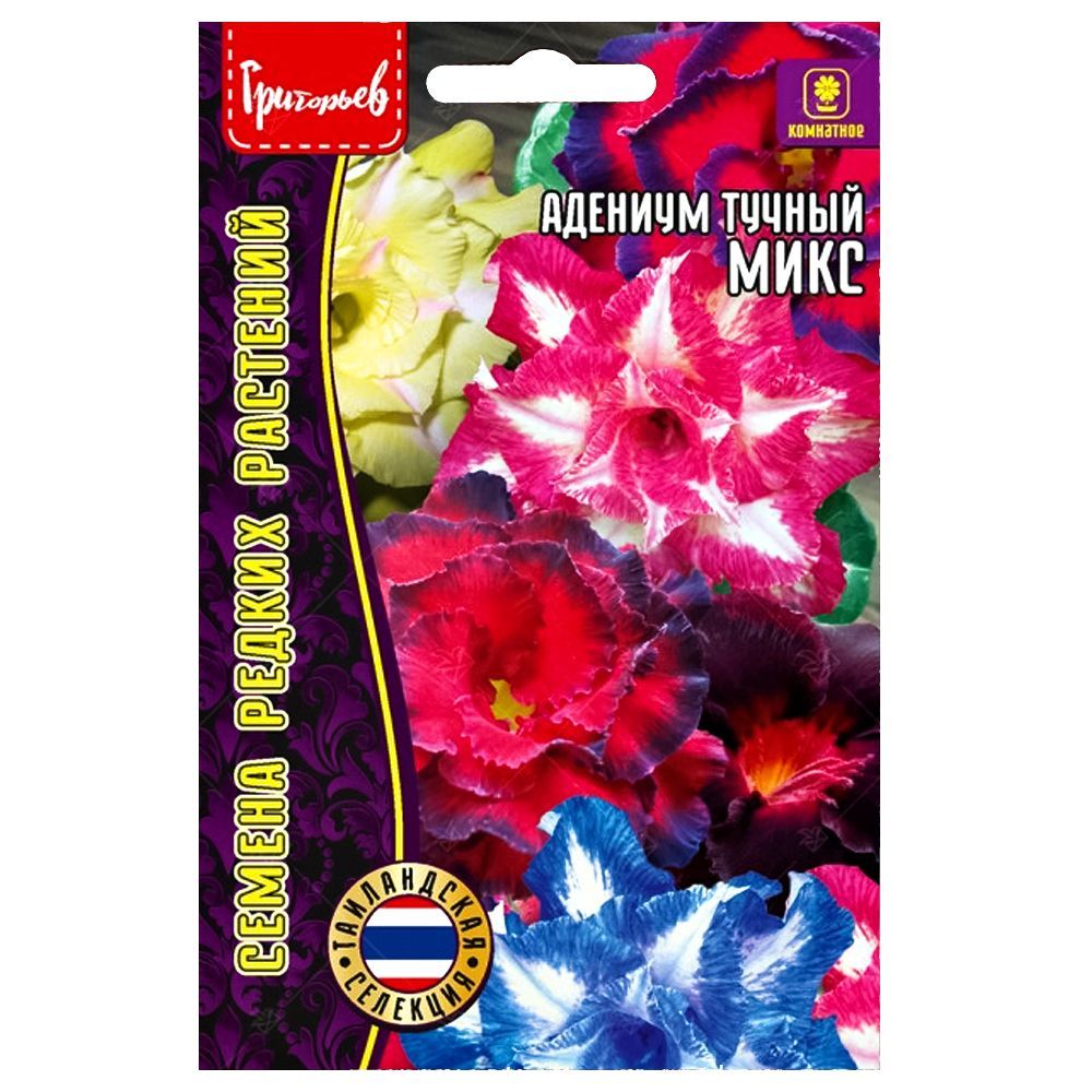 ���� �������, ����� ������� ������ ������   ������ ������