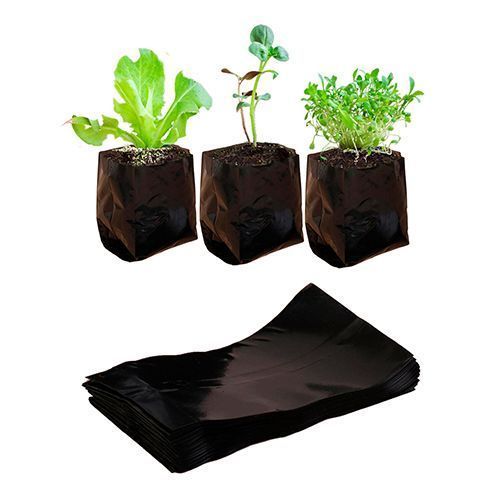 ���� ������ ��� ������� 1 �   ������ ������