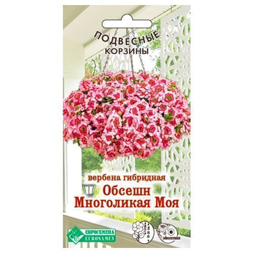 ���� ������� ������ ���������� ��� ����������   ������ ������