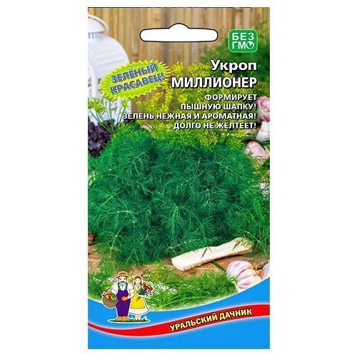 ���� ����� ��������� ��������� ������   ������ ������